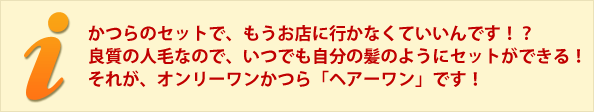 かつらのセットで、もうお店に行かなくていいんです！？ 良質の人毛なので、いつでも自分の髪のようにセットができる！ それが、オンリーワンかつら「ワンズヘアー」です！
