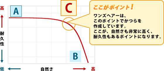 ここがポイント! ワンズヘアーは、 このポイントでかつらを 作成しています。 ここが、自然さも非常に高く、 耐久性もあるポイントになります。 ここがポイント! ワンズヘアーは、 このポイントでかつらを 作成しています。 ここが、自然さも非常に高く、 耐久性もあるポイントになります。