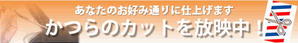 かつらのカット