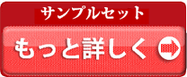 サンプルセット・もっと詳しく