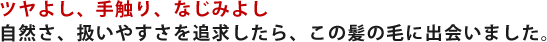 ツヤよし、手触り、なじみよし 自然さ、扱いやすさを追求したら、この髪の毛に出会いました。