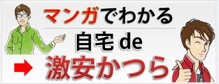 マンガで分かる激安かつら