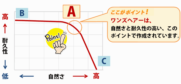 かつらの最適ポイント