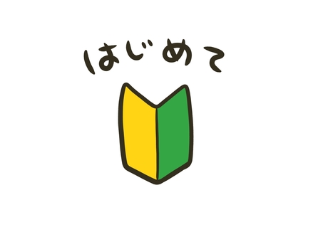 初めてのかつら