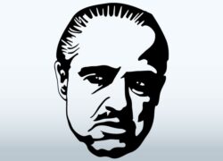 生え際が薄いかつら（極薄かつら）について