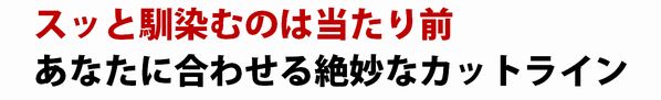 スッとなじむ。そんな当たり前をご使用いただけます 自然さと手軽さを徹底追求した、セットが手軽にできるカットライン