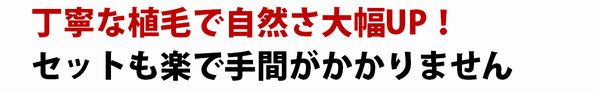 自然さを追求するこだわりの植毛方法 見てください!! この緻密さ、精密さ。これが、人工皮膚を使用せずにできた自然な毛流れの秘密です