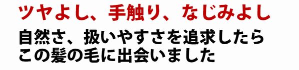 ツヤよし、手触り、なじみよし 自然さ、扱いやすさを追求したら、この髪の毛に出会いました。